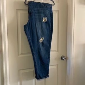 Gold accent boyfriend jeans lane Bryant 26
